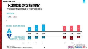 国产57页,揭秘我国科技发展的新篇章